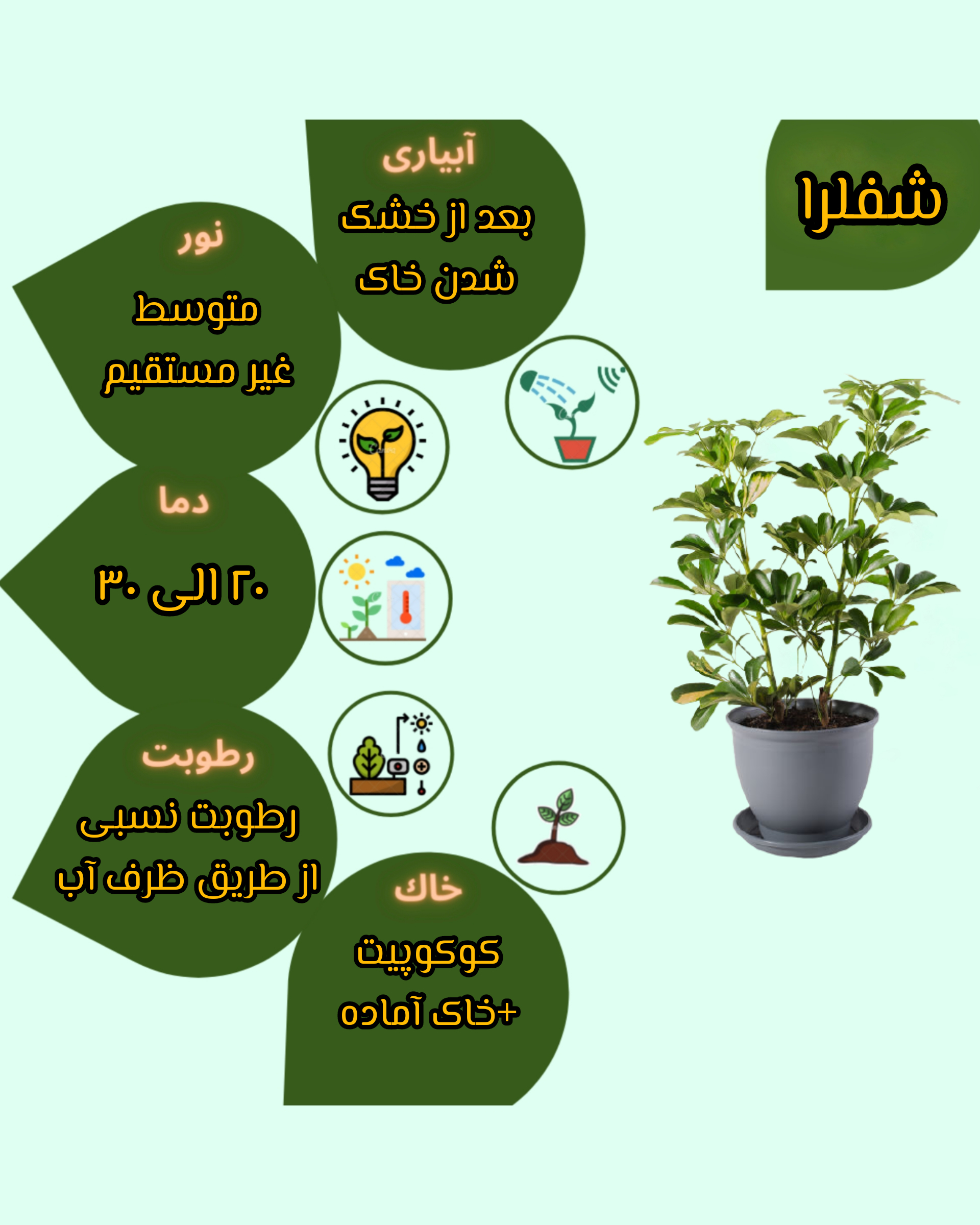 Chidaneh.com placeholder image