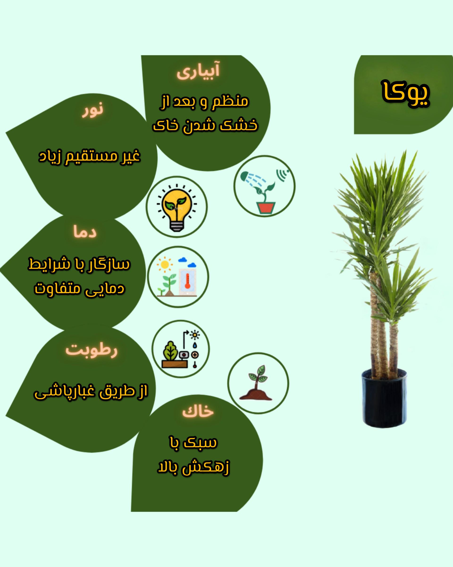 Chidaneh.com placeholder image