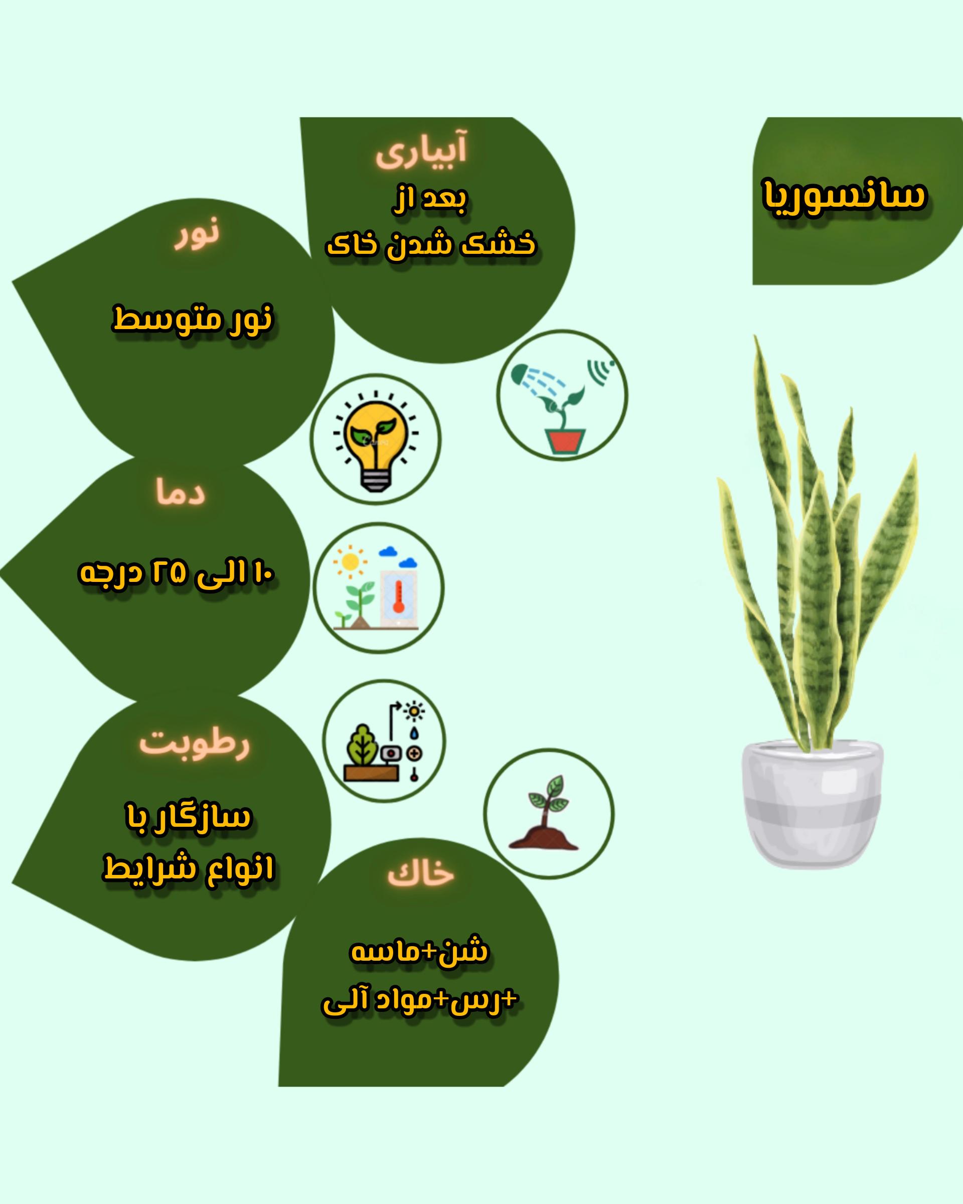 Chidaneh.com placeholder image