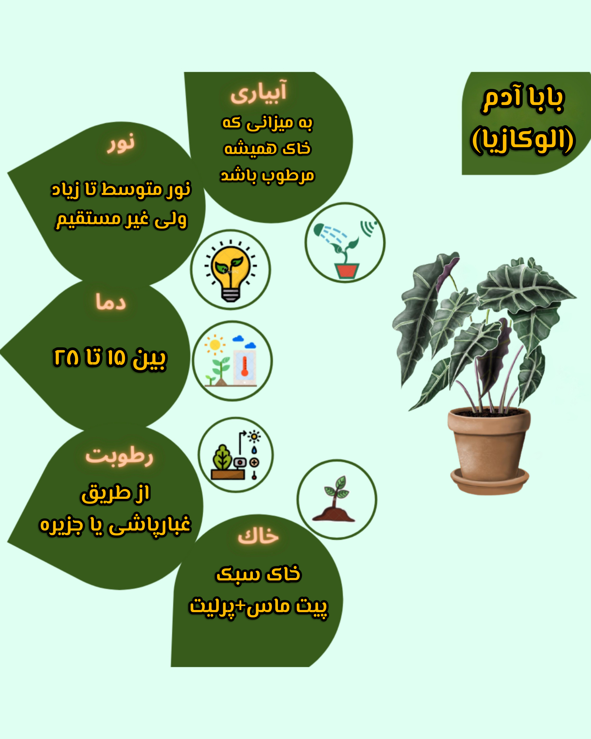 Chidaneh.com placeholder image