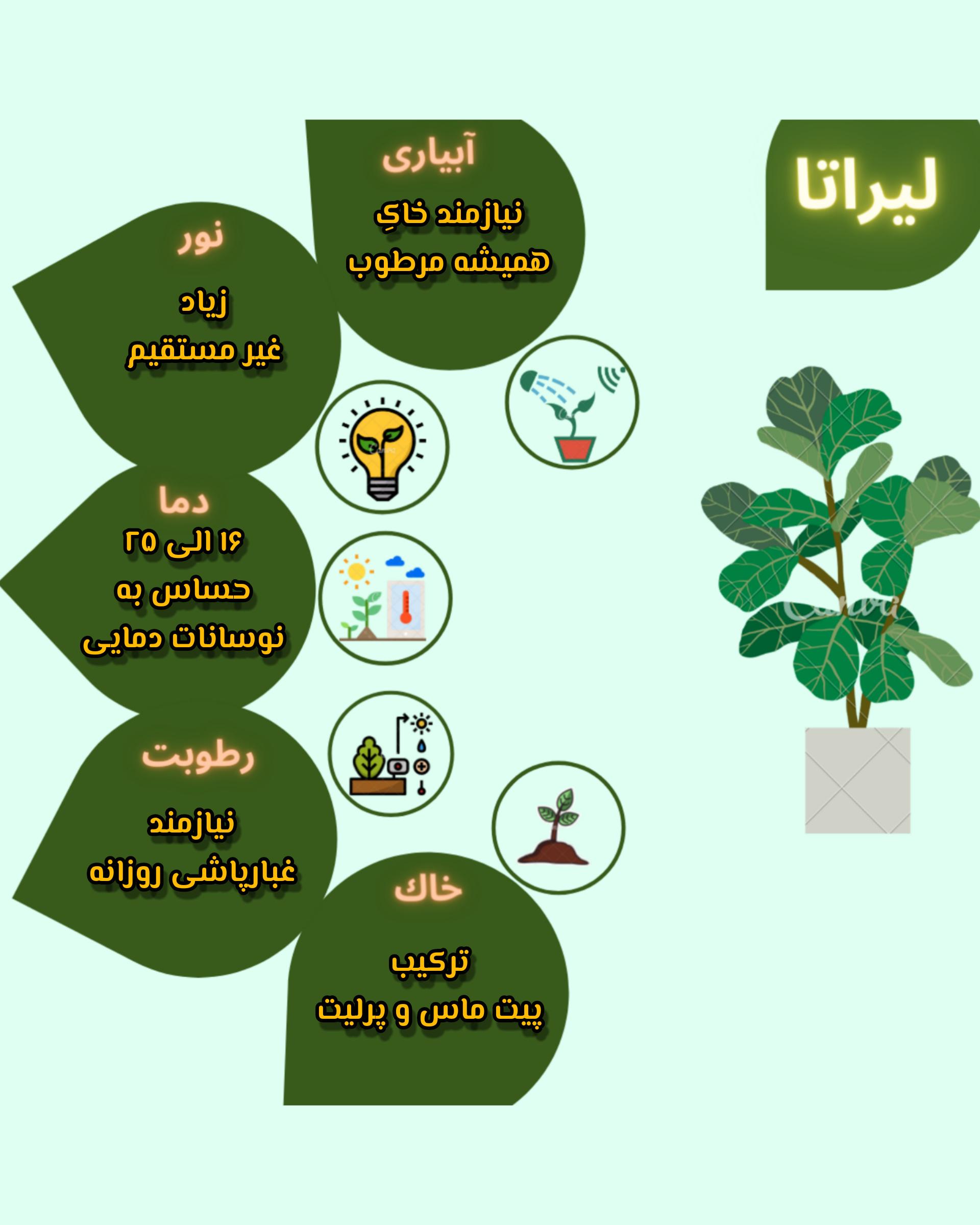 Chidaneh.com placeholder image