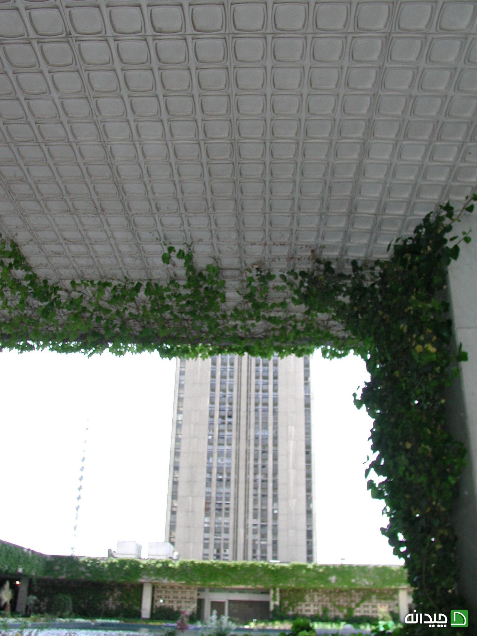 Chidaneh.com placeholder image