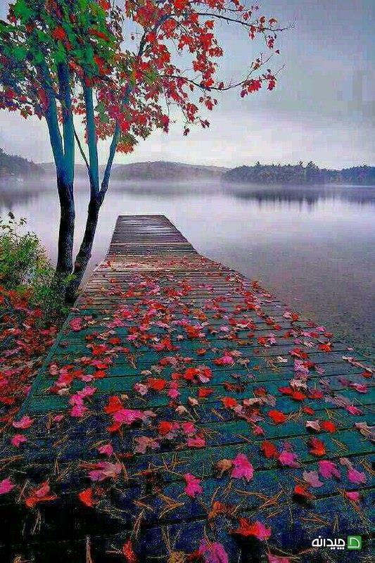 Chidaneh.com placeholder image