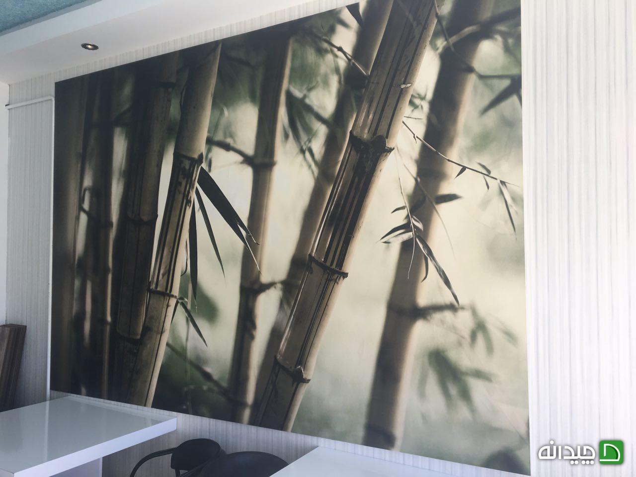 Chidaneh.com placeholder image