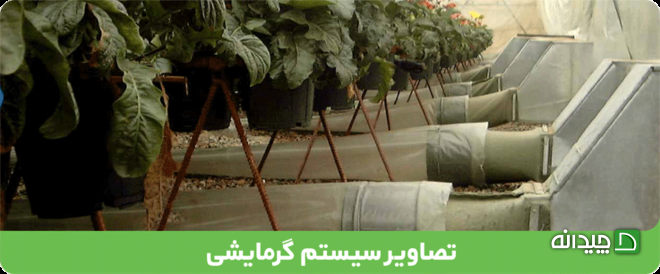 Chidaneh.com placeholder image