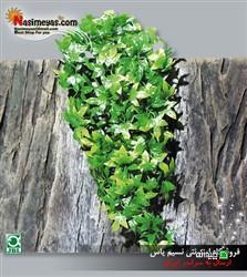 Chidaneh.com placeholder image