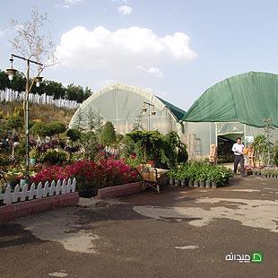 Chidaneh.com placeholder image