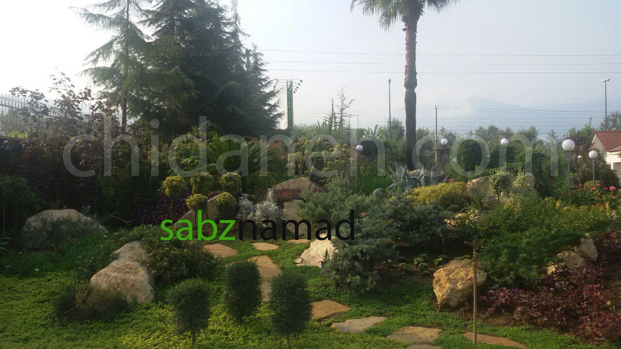 Chidaneh.com placeholder image