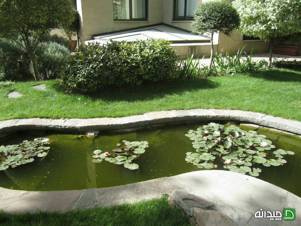 Chidaneh.com placeholder image