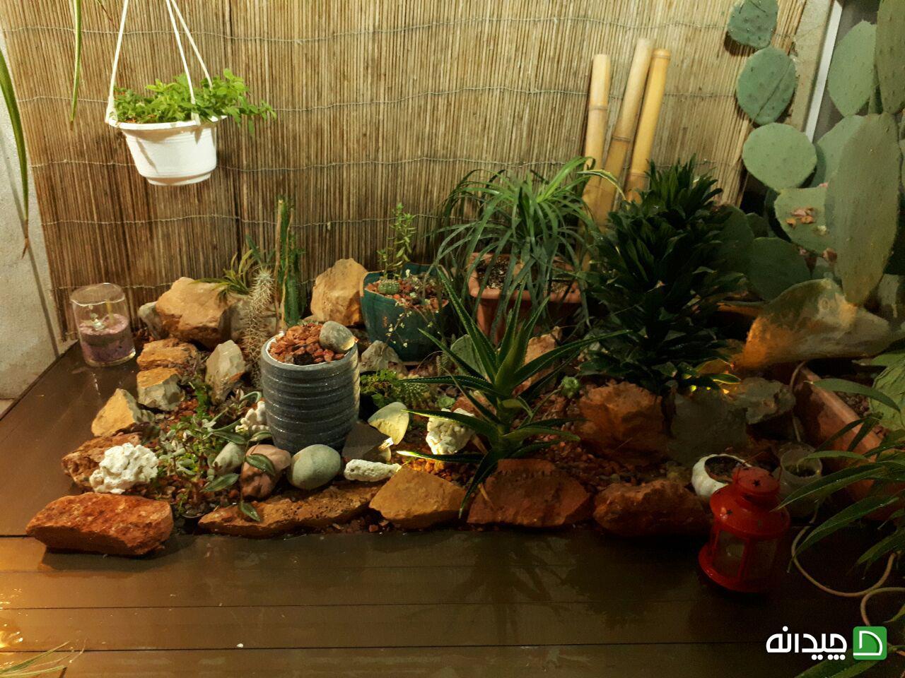 Chidaneh.com placeholder image