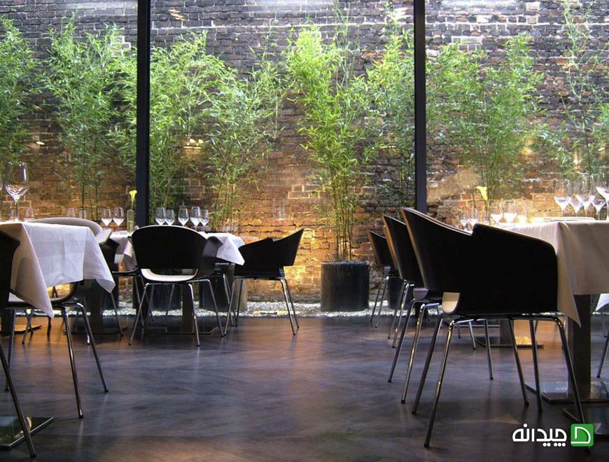 Chidaneh.com placeholder image