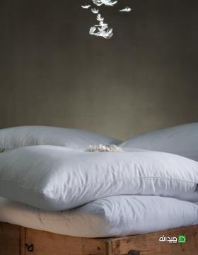 Chidaneh.com placeholder image