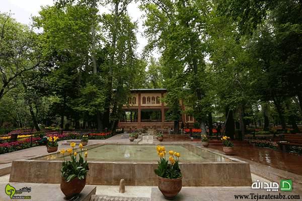 Chidaneh.com placeholder image