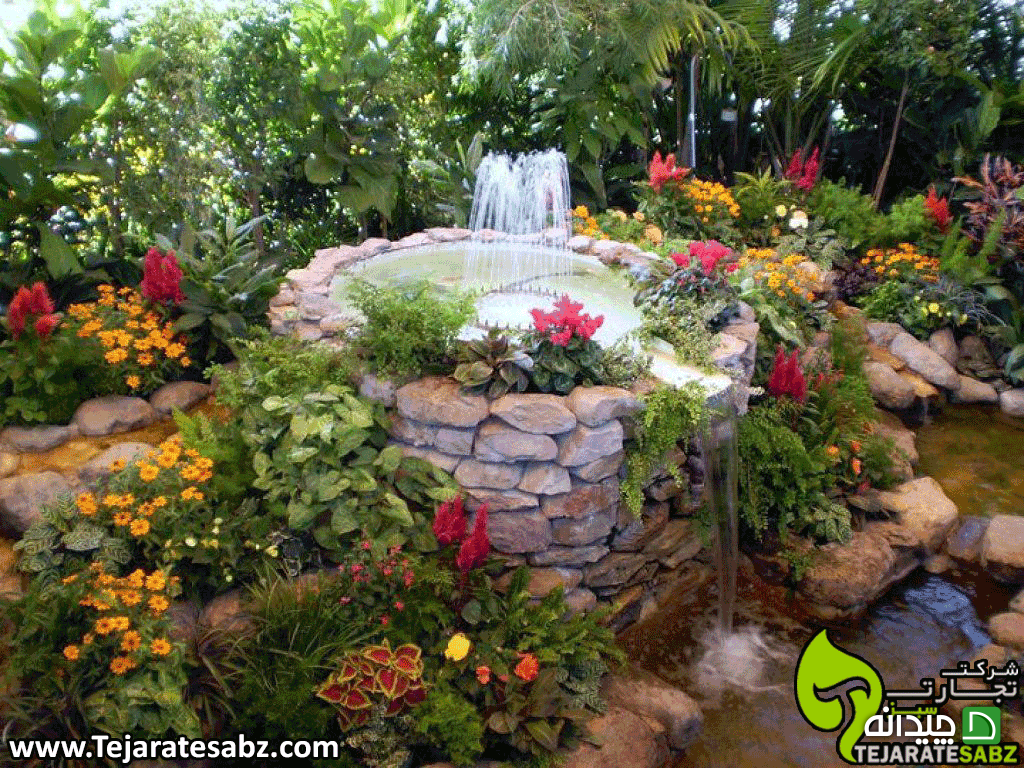 Chidaneh.com placeholder image