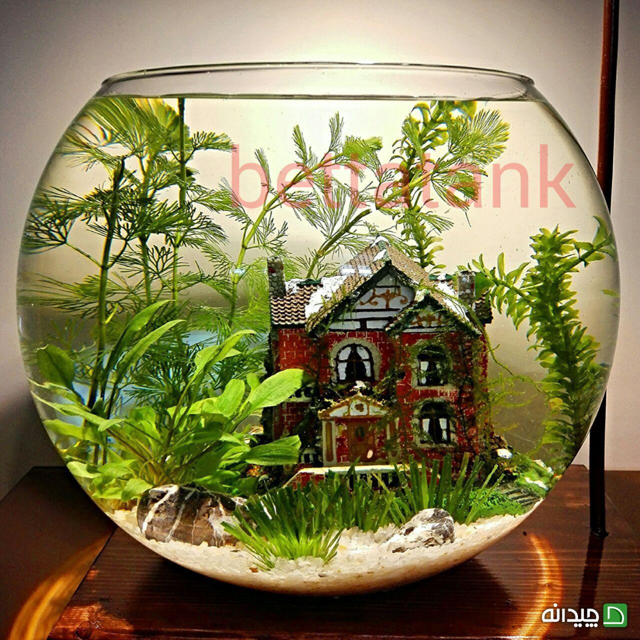 Chidaneh.com placeholder image