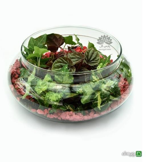 Chidaneh.com placeholder image
