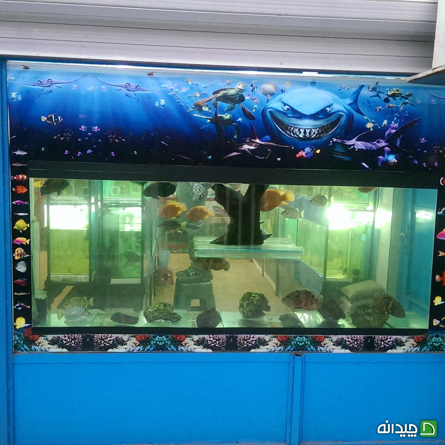 Chidaneh.com placeholder image