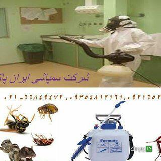 Chidaneh.com placeholder image