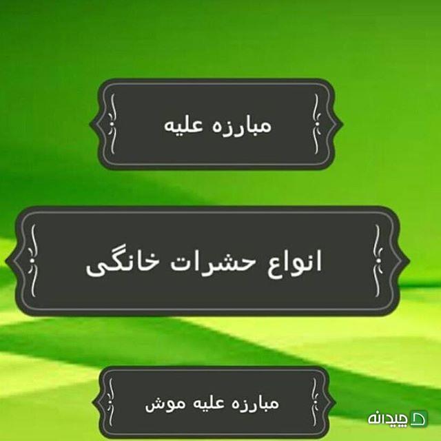 Chidaneh.com placeholder image