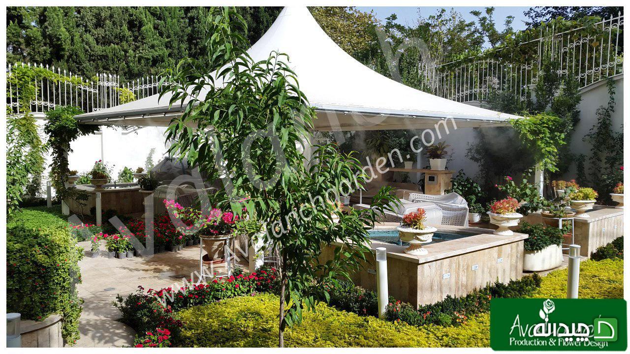 Chidaneh.com placeholder image