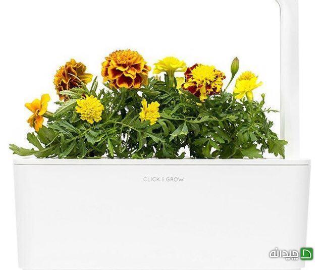 Chidaneh.com placeholder image