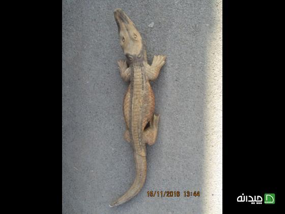 Chidaneh.com placeholder image