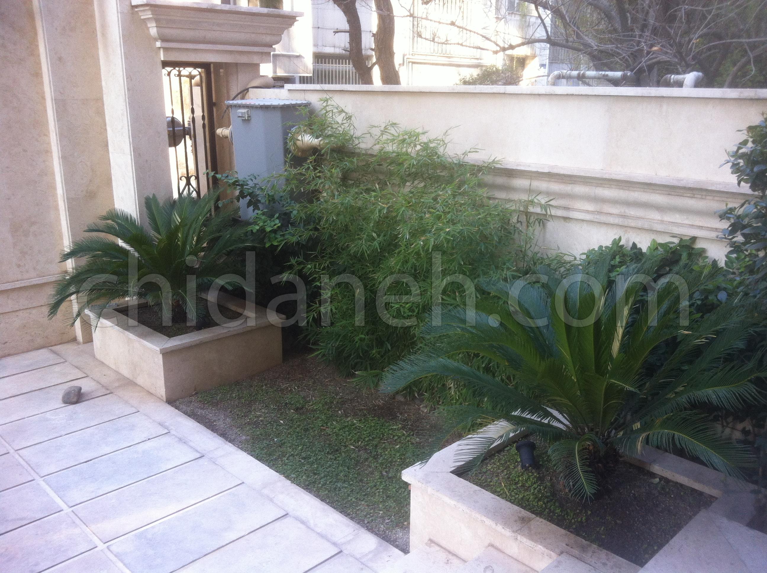 Chidaneh.com placeholder image