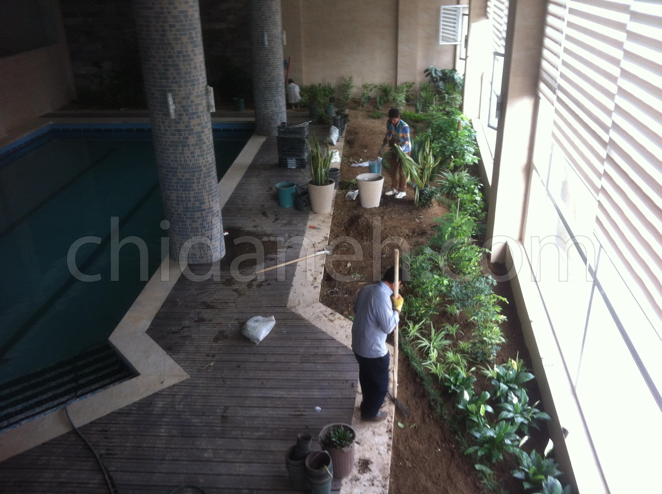 Chidaneh.com placeholder image