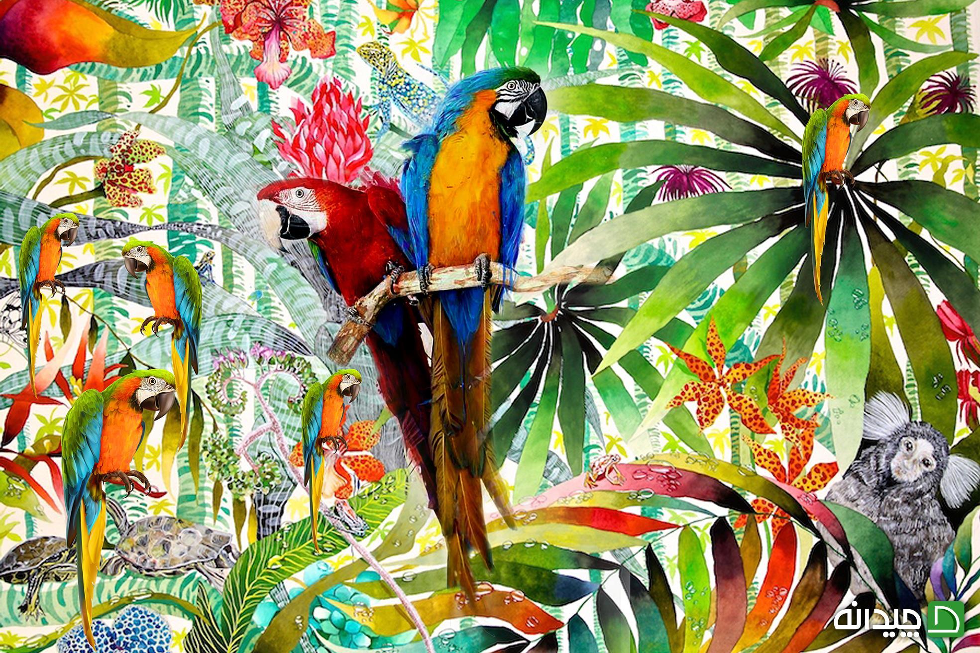 Chidaneh.com placeholder image
