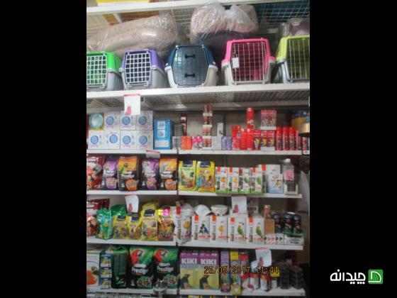 Chidaneh.com placeholder image