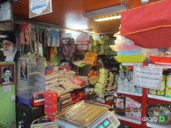 Chidaneh.com placeholder image