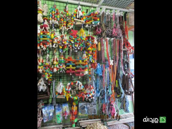 Chidaneh.com placeholder image