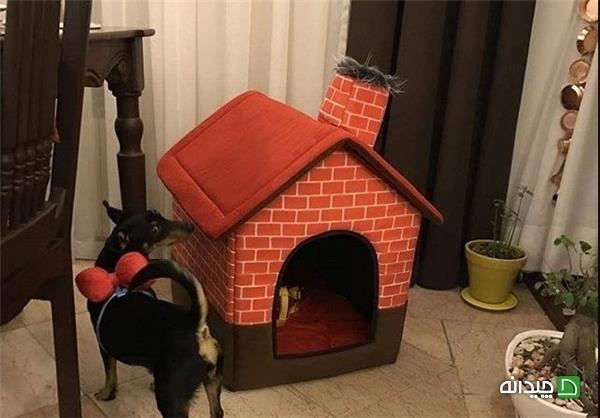 Chidaneh.com placeholder image