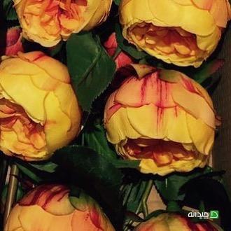 Chidaneh.com placeholder image