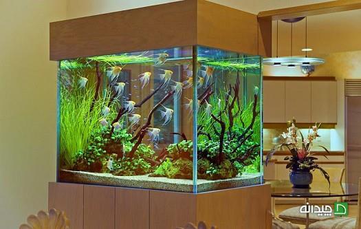 Chidaneh.com placeholder image