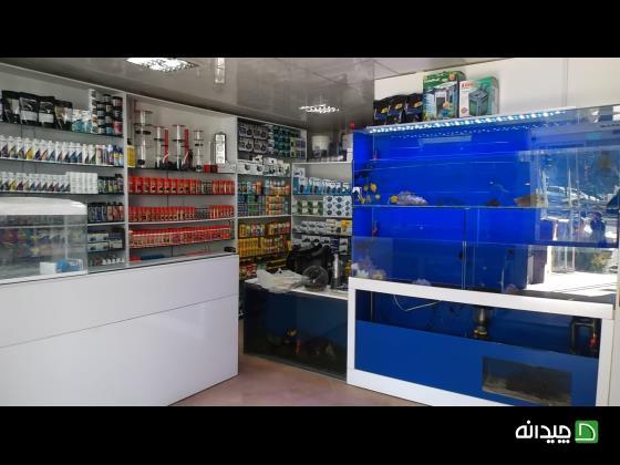 Chidaneh.com placeholder image