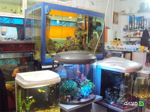 Chidaneh.com placeholder image