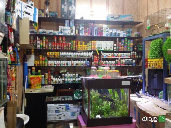 Chidaneh.com placeholder image