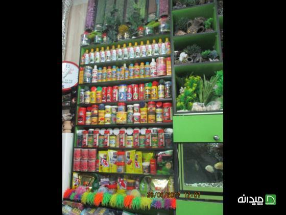 Chidaneh.com placeholder image