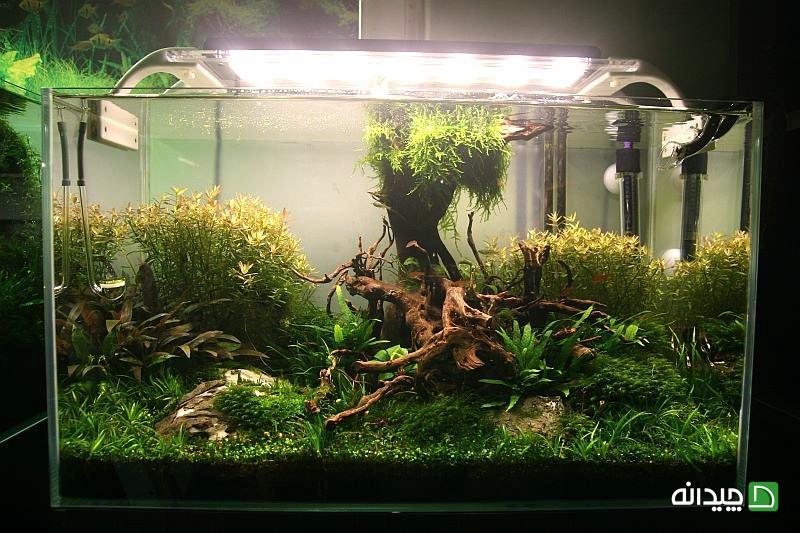 Chidaneh.com placeholder image