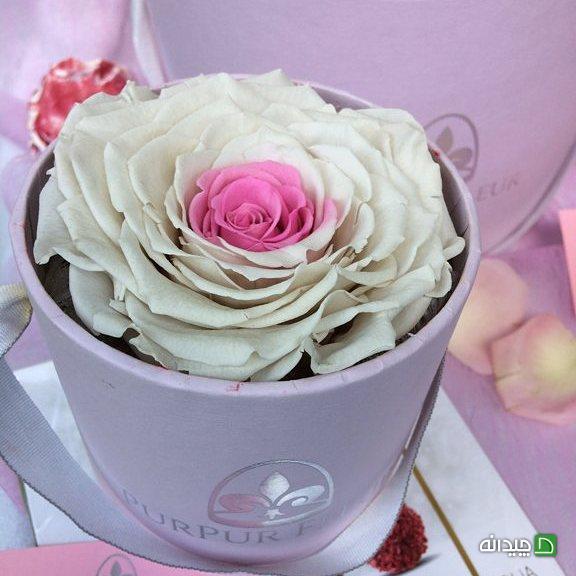 Chidaneh.com placeholder image