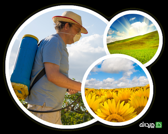 Chidaneh.com placeholder image