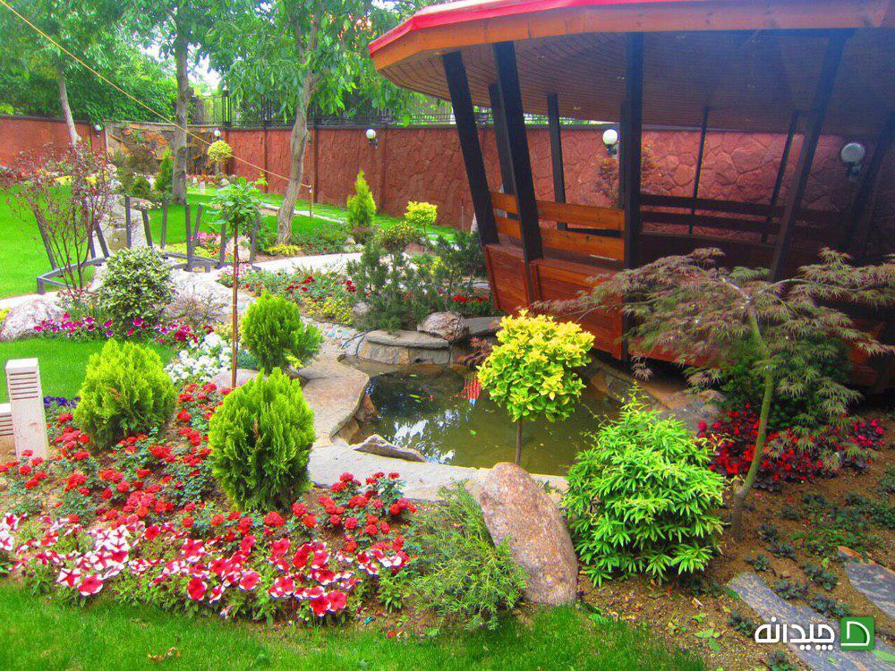 Chidaneh.com placeholder image