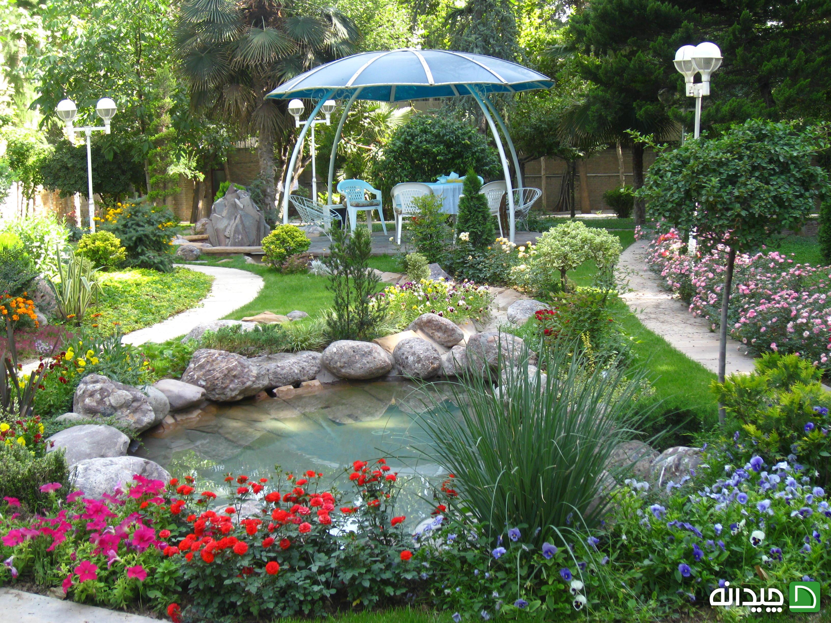 Chidaneh.com placeholder image