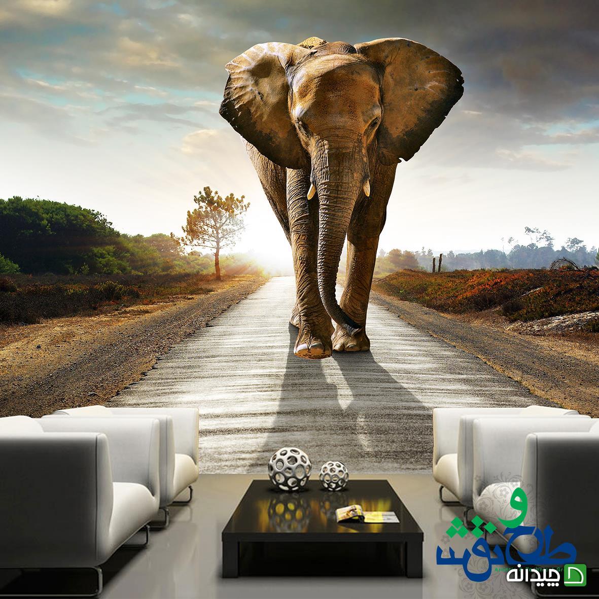 Chidaneh.com placeholder image
