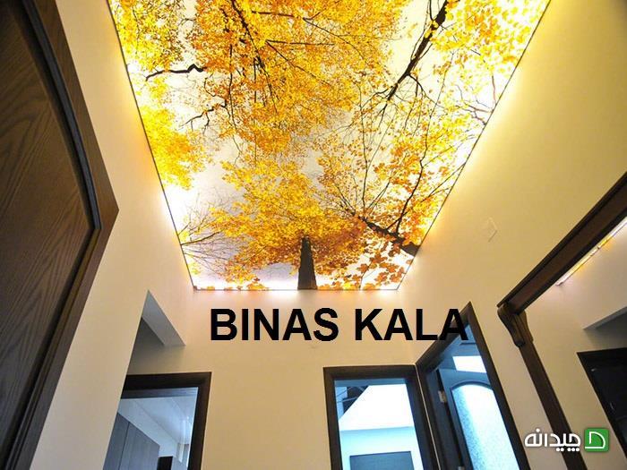 Chidaneh.com placeholder image