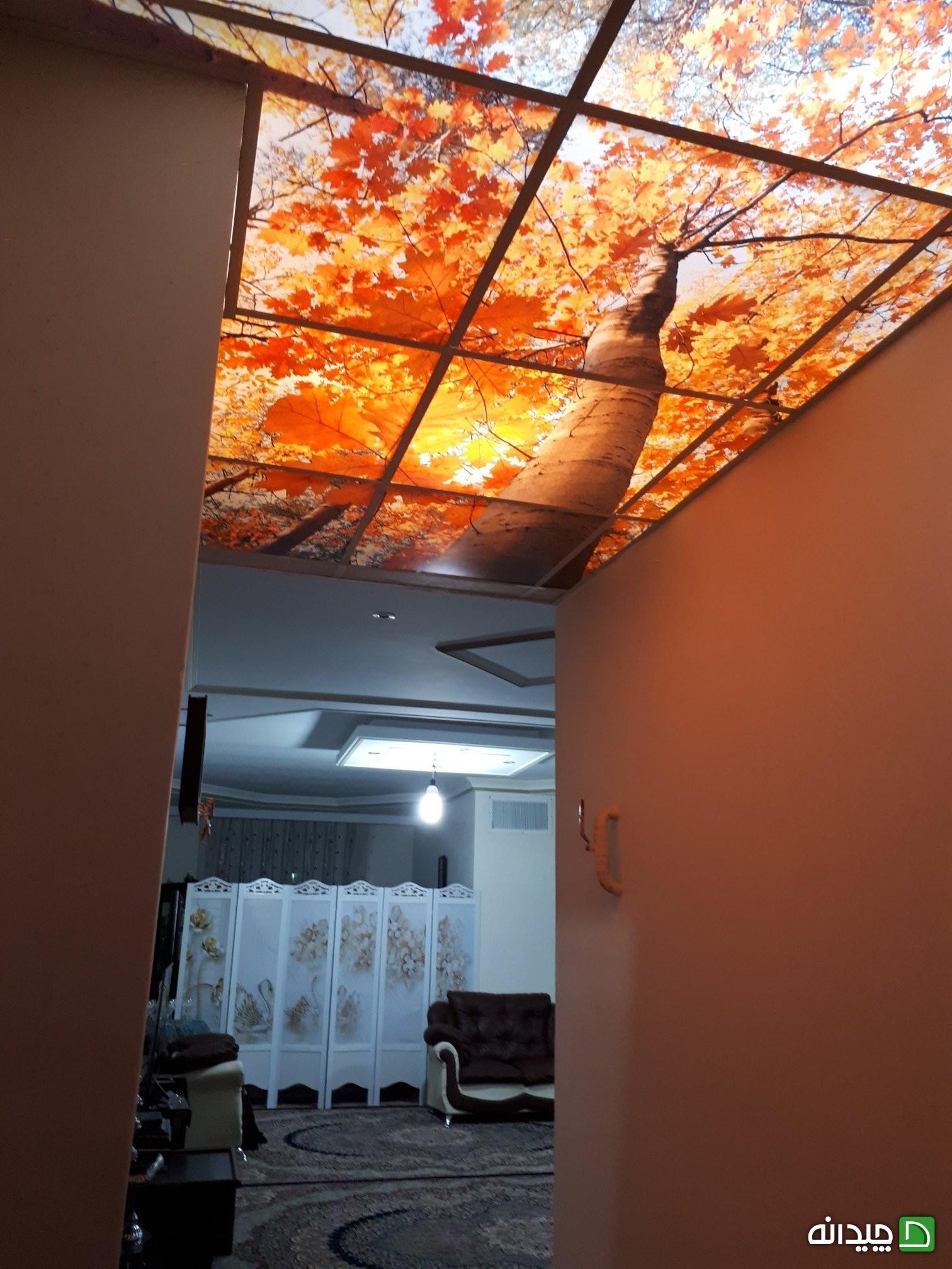 Chidaneh.com placeholder image