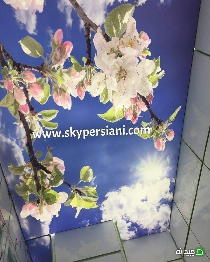 Chidaneh.com placeholder image