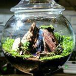 Chidaneh.com placeholder image