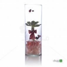 Chidaneh.com placeholder image